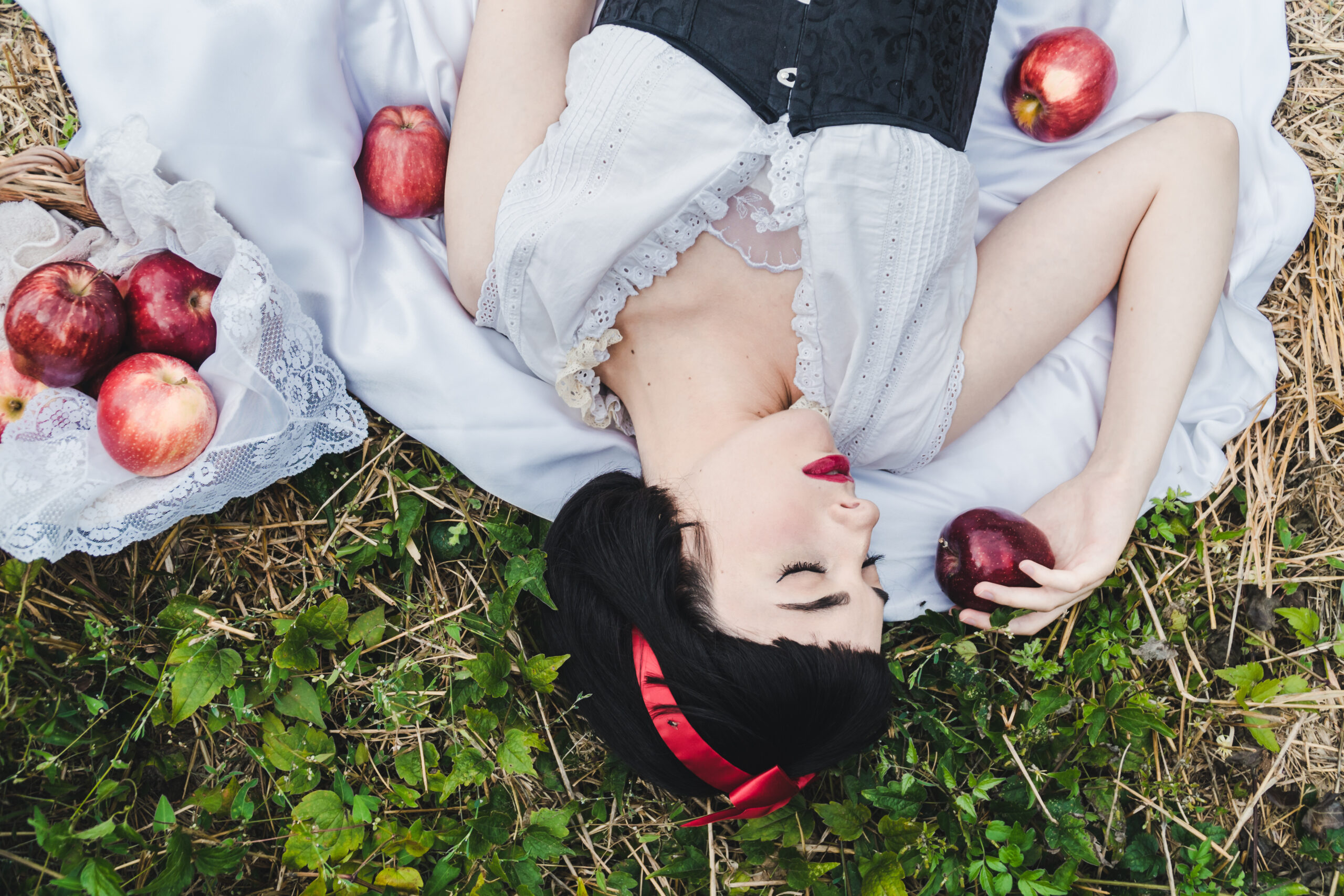 Snow White's Renovations a Short Story By Nancy Paton
